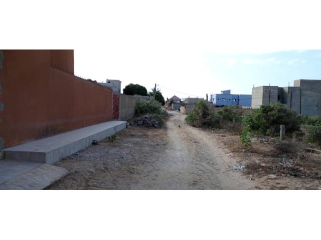 Photo terrain de 350 metres carres a saly image 3/4