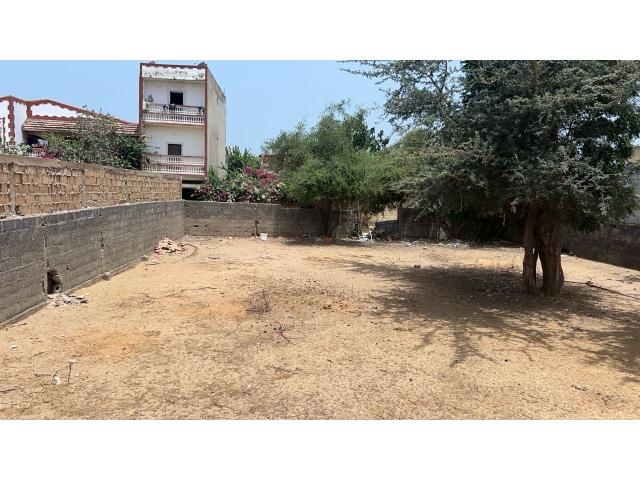 Photo Terrain de 400 mètres carrés à vendre à Saly Sénégal image 3/4