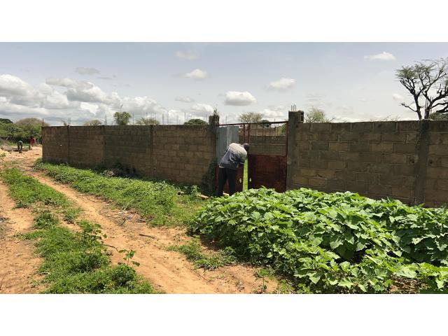 Photo Terrain de 450 mètres carrés à vendre à Gandigal Sénégal image 3/4