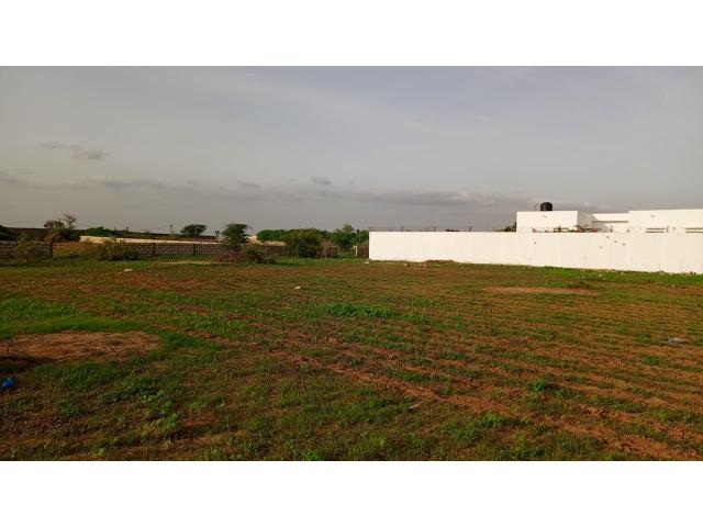 Photo Terrain de 450 mètres carrés à vendre à Nguérigne Sénégal image 3/3