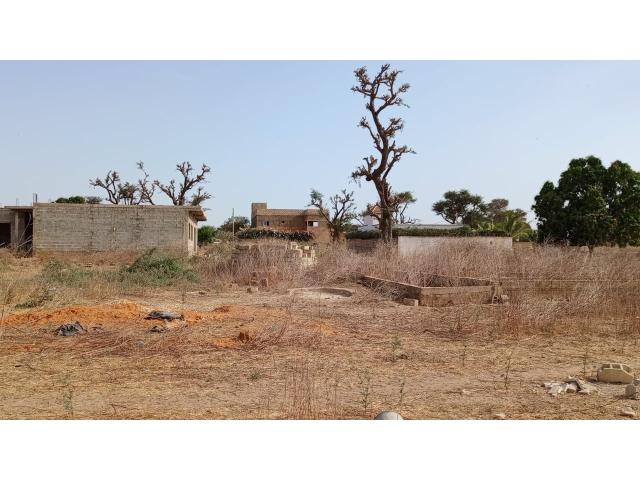 Photo Terrain de 450 mètres carrés à vendre à Saly Sénégal image 3/3
