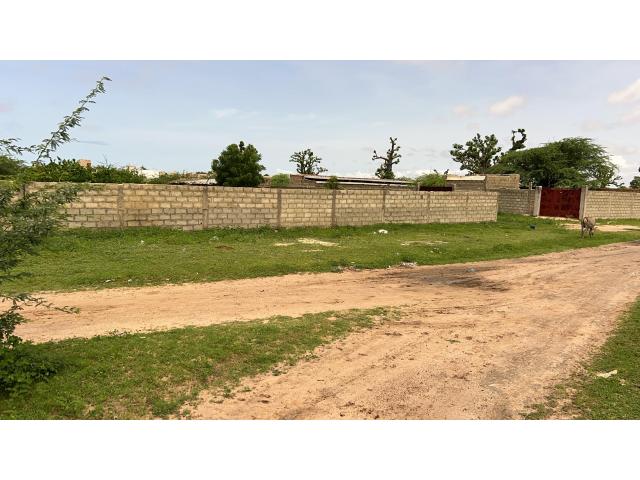 Photo Terrain de 500 mètres carrés à vendre à Mbour  Sénégal image 3/4