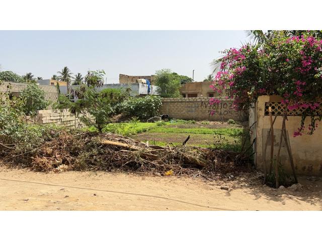 Photo Terrain de 500 mètres carrés à vendre à Mbour Sénégal image 3/4