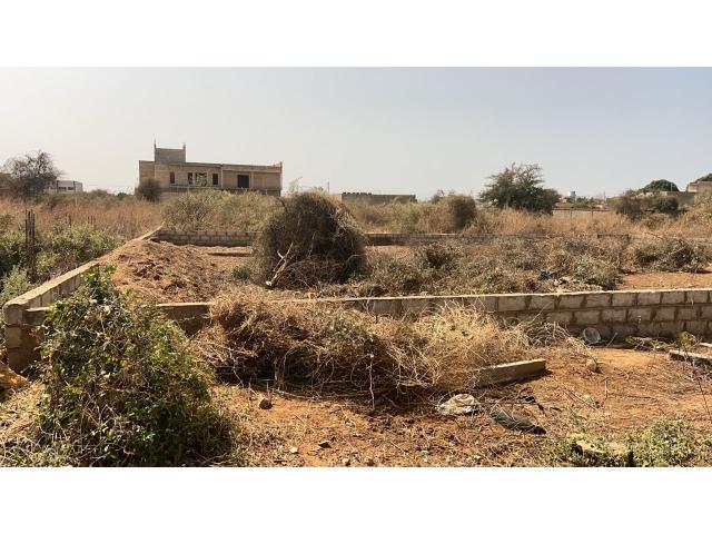 Photo Terrain de 500 mètres carrés à vendre à Nguékhokh Sénégal image 3/4