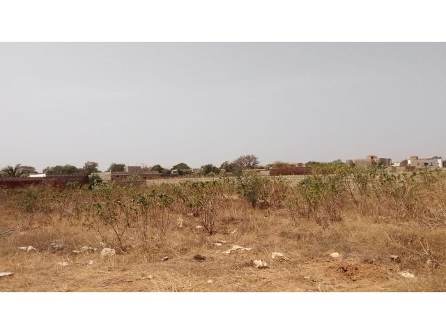 Photo Terrain de 559 mètres carrés à vendre à Nguérigne Sénégal image 3/4