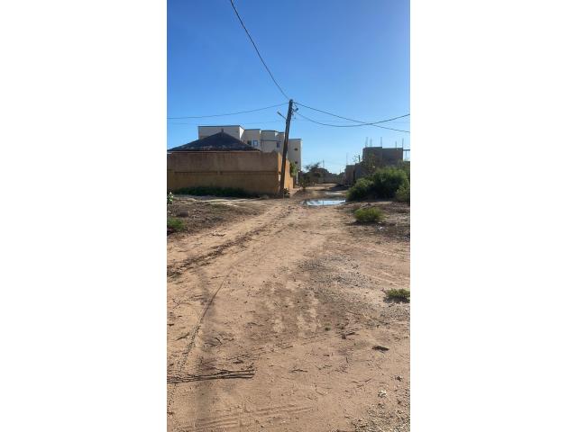Photo terrain de 600 metres carres a saly image 3/4