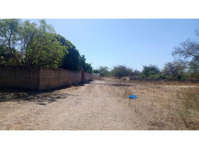 Photo Terrain de 600 mètres carrés à vendre à Mbodiène Sénégal image 3/4