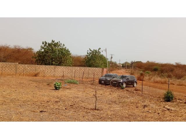 Photo Terrain de 600 mètres carrés à vendre à Ngaparou Sénégal image 3/4