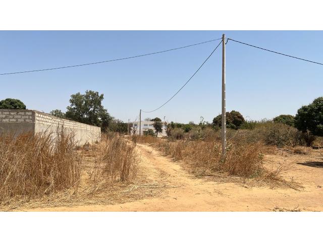Photo Terrain de 600 mètres carrés à vendre à Popenguine Sénégal image 3/3