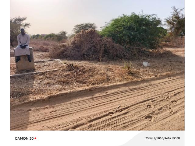 Photo Terrain de 600 mètres carrés à vendre à Popenguine Sénégal image 3/3