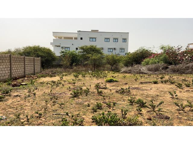 Photo Terrain de 600 mètres carrés à vendre à Somone Sénégal image 3/4