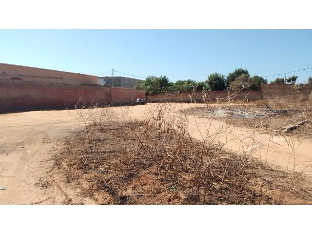 Photo Terrain de 983 mètres carrés à vendre à Ngaparou Sénégal image 3/4