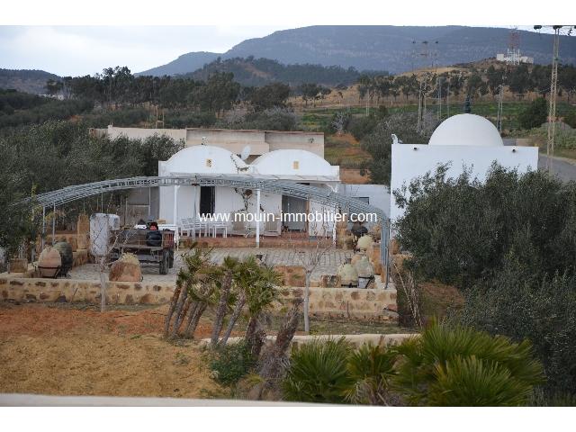 Photo TERRAIN JIHEN Birbouregba T334 image 3/3