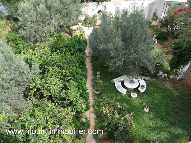 Photo TERRAIN LARA 2 Sidi Hammed T841 image 3/3