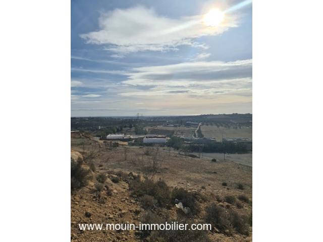 Photo Terrain Monchar 1 T1066 Hammamet image 3/3