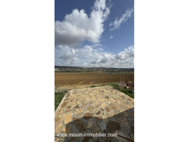 Photo TERRAIN MZIRAA Hammamet Birbouregba T1024 image 3/5