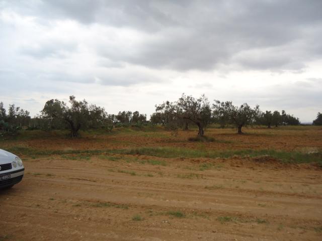 Photo Terrain Ociana image 3/4