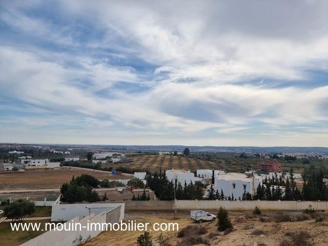 Photo TERRAIN RUBY Hammamet Sud El Monchar T1079 image 3/4