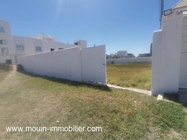 Photo TERRAIN SYLVIA Hammamet Route Ceinture T934 image 3/3