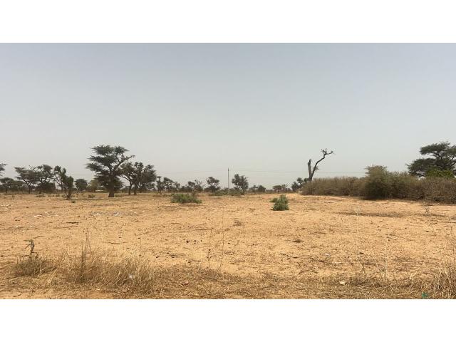 Photo Terrains 225 mètres carrés à vendre à Malicounda, Sénégal image 3/5