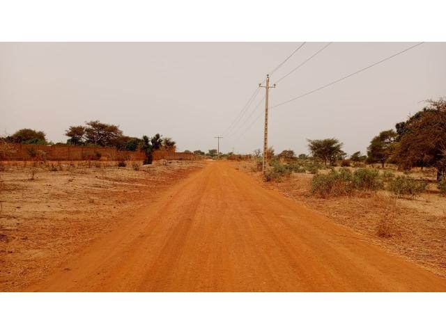 Photo Terrains 225 mètres carrés à vendre à Malicounda Sénégal image 3/4