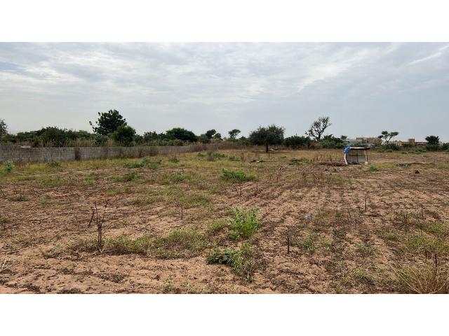 Photo Terrains 300 mètres carrés à vendre à Malicounda Sénégal image 3/5