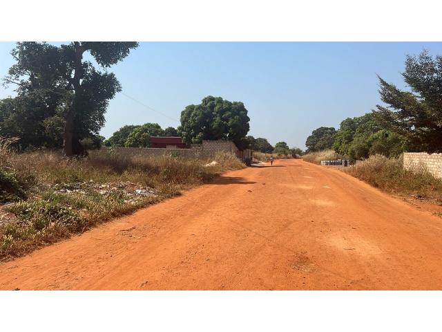Photo Terrains 300 mètres carrés à vendre à Warang Sénégal image 3/4