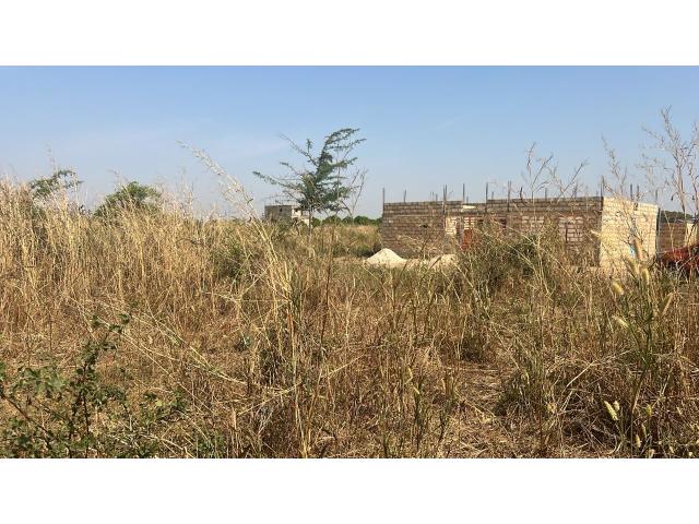 Photo Terrains 300 mètres carrés à vendre à Warang  Sénégal image 3/4