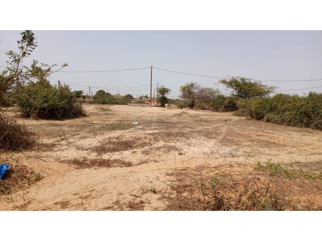Photo Terrains de 150 mètres carrés à vendre à Saly Sénégal image 3/3