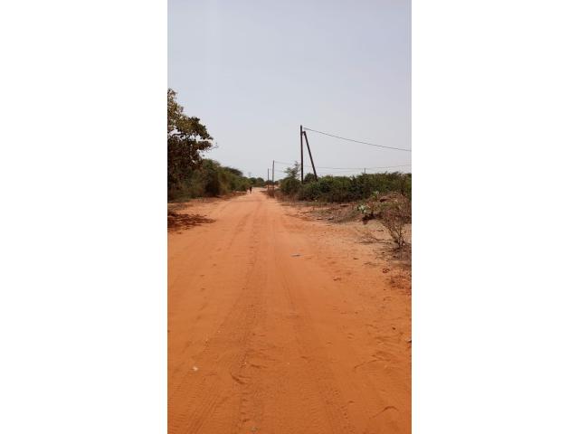 Photo Terrains de 200 mètres carrés à vendre à Bambilor Sénégal image 3/4