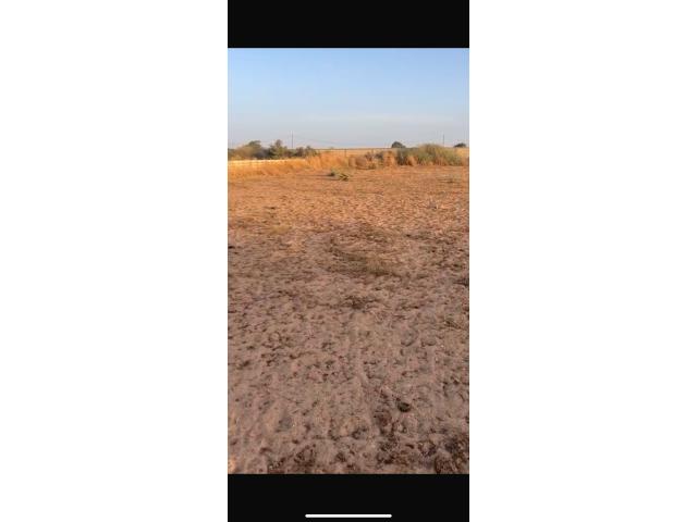 Photo Terrains de 2000 mètres carrés à vendre à Nguérigne Sénégal image 3/3