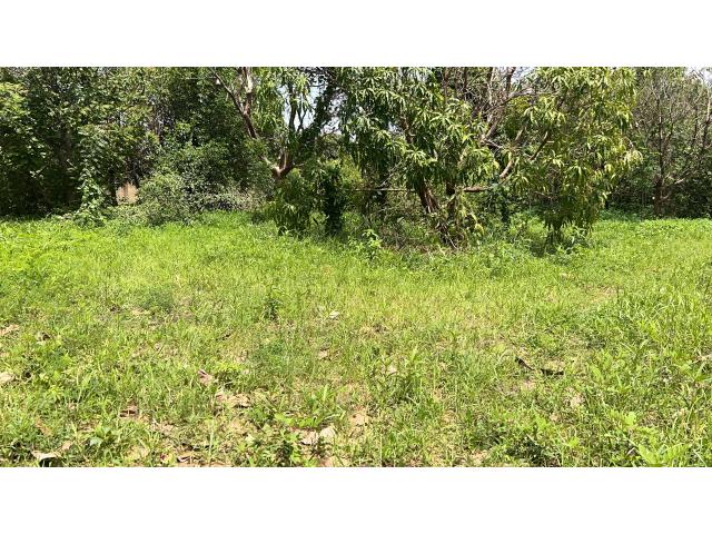 Photo Terrains de 225 mètres carrés à vendre à Gandigal Sénégal image 3/4