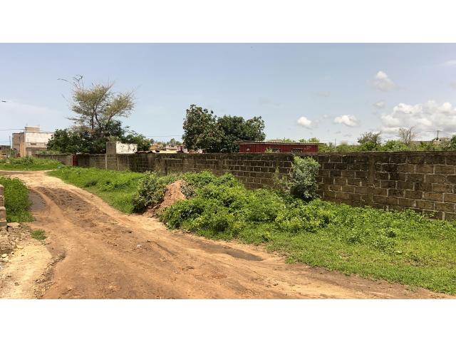 Photo Terrains de 225 mètres carrés à vendre à Gandigal Sénégal image 3/3