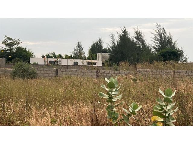 Photo Terrains de 300 mètres carrés à vendre à Guéréo Sénégal image 3/4