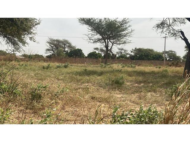 Photo Terrains de 300 mètres carrés à vendre à Malicounda Sénégal image 3/4