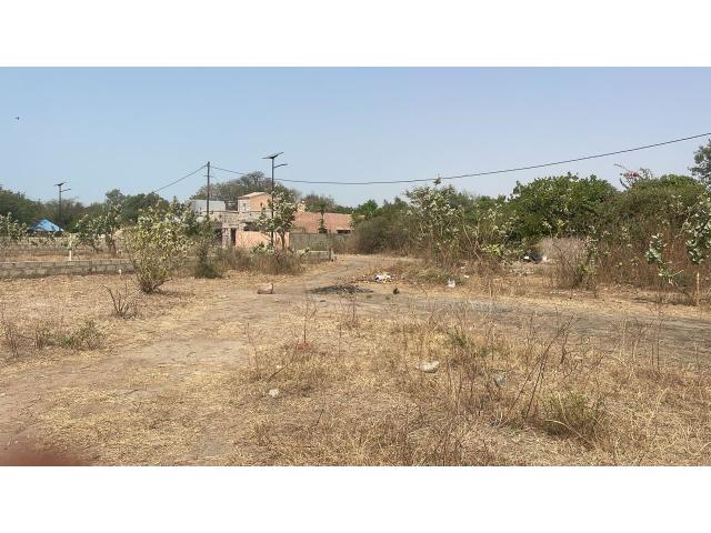 Photo Terrains de 300 mètres carrés à vendre à Mbodiène Sénégal image 3/4
