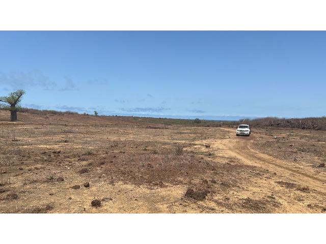 Photo Terrains de 300 mètres carrés à vendre à Ndayane Sénégal image 3/3