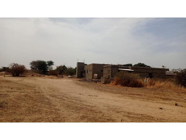 Photo Terrains de 300 mètres carrés à vendre à Ndiorokh Sénégal image 3/3