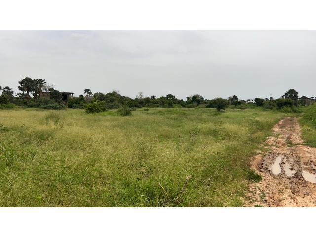 Photo Terrains de 300 mètres carrés à vendre à Saly Sénégal image 3/3