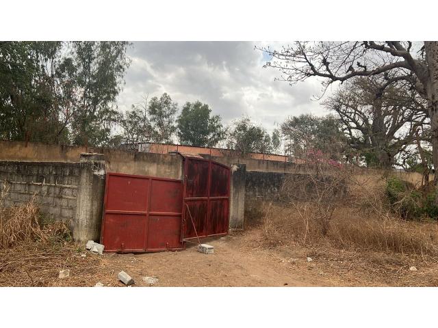 Photo Terrains de 300 mètres carrés à vendre à Saly Sénégal image 3/3
