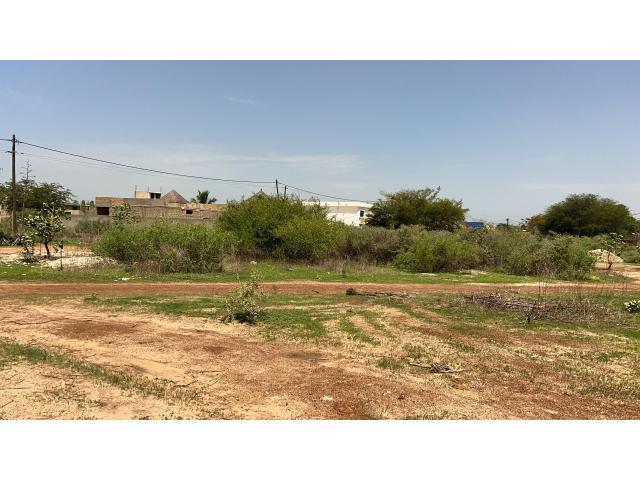 Photo Terrains de 687 mètres carrés à vendre à Ndiorokh Sénégal image 3/4