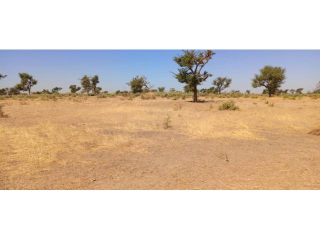 Photo terrrain de 1200 metres carres a malicounda image 3/3