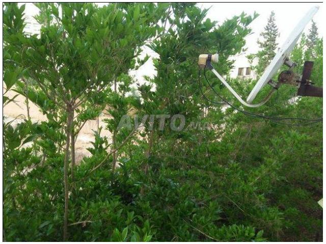 Photo Très bel Appartement à vendre 87 m2 à nakhil sidi maarouf image 3/5