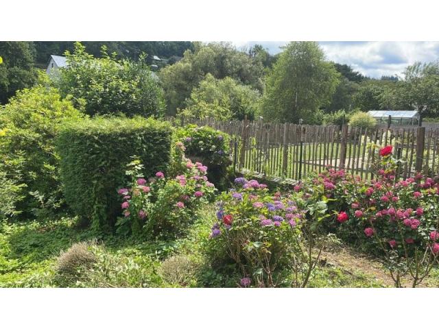 Photo Vallée de la Semois : 5550 Alle : charmante maison, 3-4ch, 2sdb, jardin. image 3/6