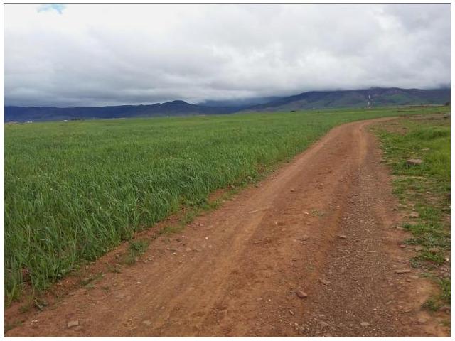 Photo vente terrain  2 hectares 9428 M de  sur la voie principal de Tahenaoute image 3/4