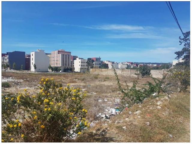 Photo Vente Terrain Titré de 2020 m2 A à Coté du Royal Golf Tanger image 3/3