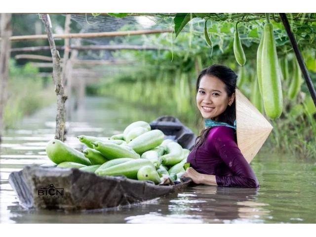 Photo Vietnam Culinaire - 11 jours image 3/3