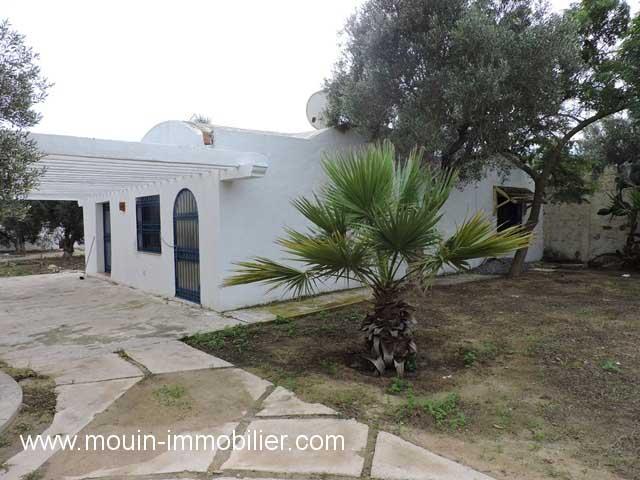 Photo VILLA CITRUS Hammamet Sud  AV1160 image 3/6