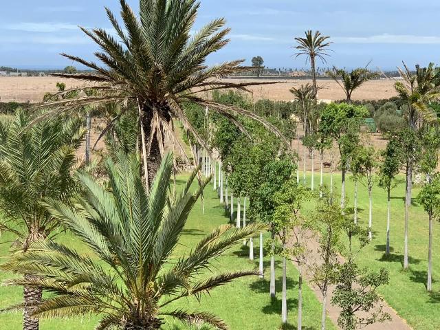 Photo Villa de 2 hectares région de Sidi Rahal image 3/6