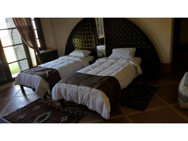 Photo villa en location sur un Hectare image 3/6